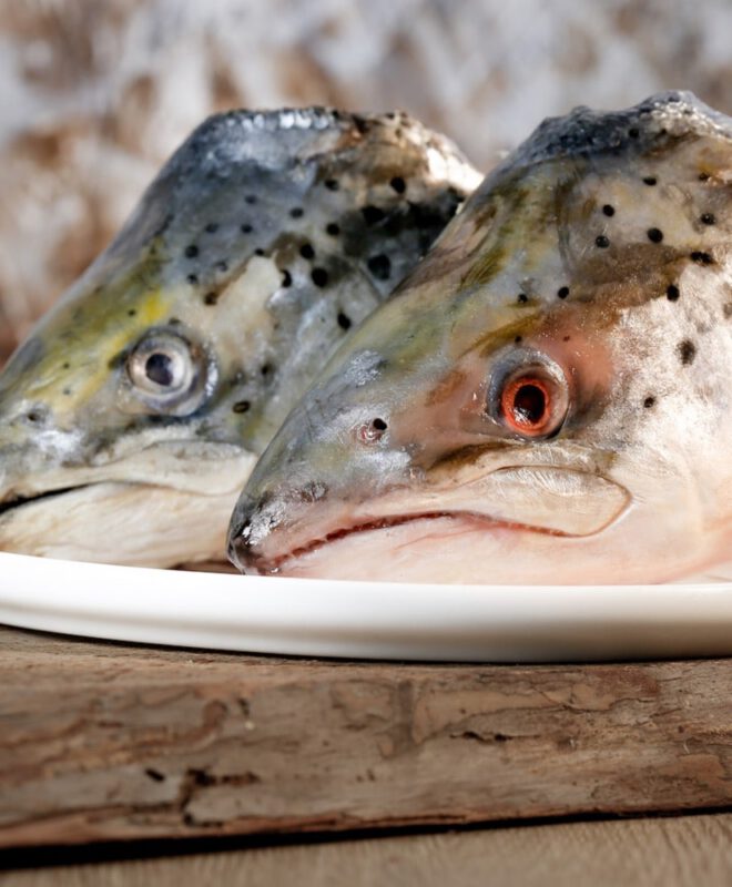 Zalm koppen