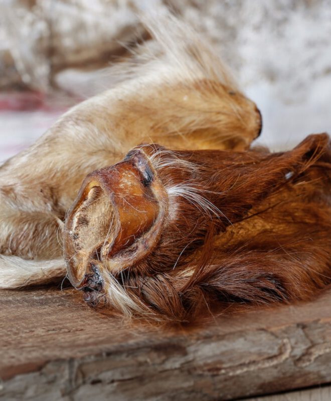 Runderoren met vacht