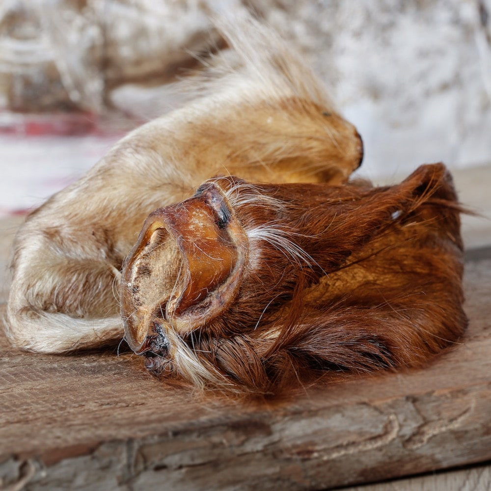 Runderoren met vacht