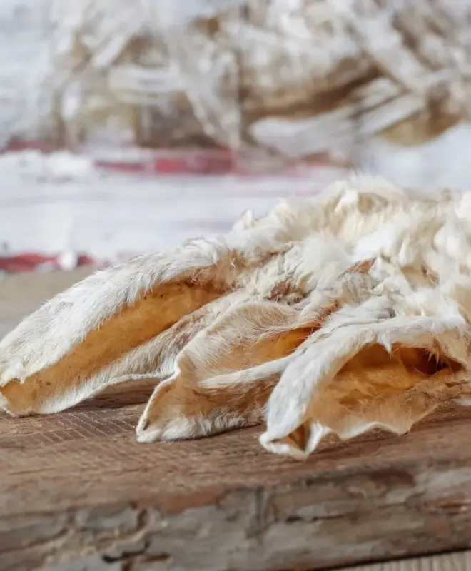 Konijnenoren met vacht